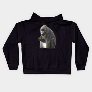 Mandrill Kids Hoodie